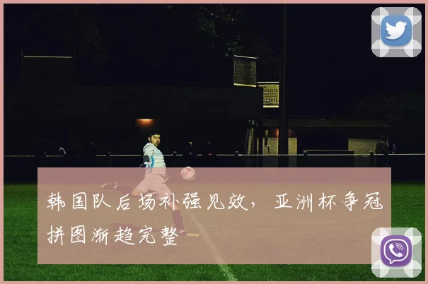 韩国队后场补强见效,亚洲杯争冠拼图渐趋完整