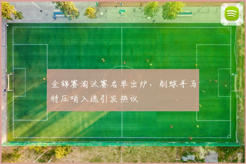 全锦赛淘汰赛名单出炉，削球手马特压哨入选引发热议