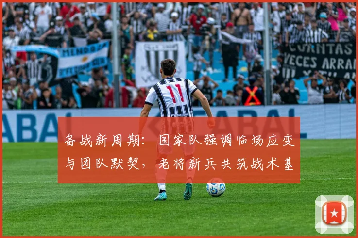 备战新周期：国家队强调临场应变与团队默契，老将新兵共筑战术基石 - 爱游戏