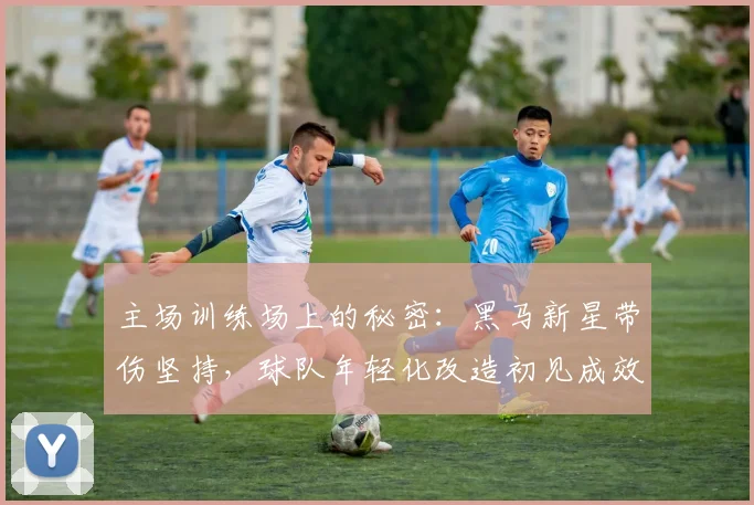 主场训练场上的秘密：黑马新星带伤坚持，球队年轻化改造初见成效